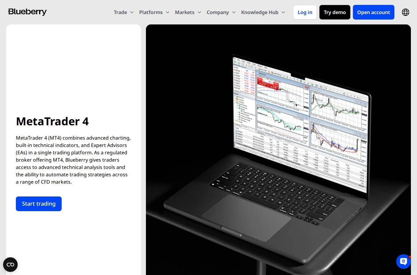 The platform page on the Blueberry Markets website